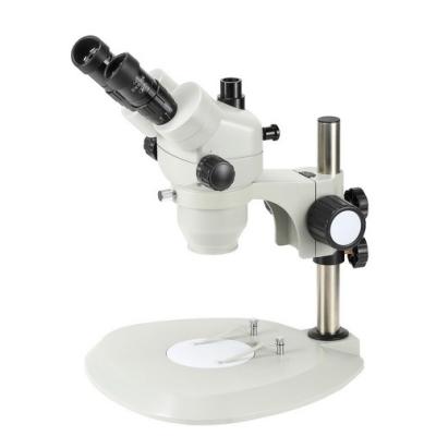 中国 Trinocularのステレオのズームレンズの顕微鏡の拡大65Xの長い作動距離110mm 販売のため