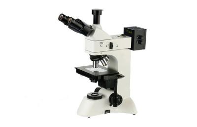China Microscopio metalúrgico 10x 40x 100x de Iqualitrol Digital con el foco grueso/fino en venta
