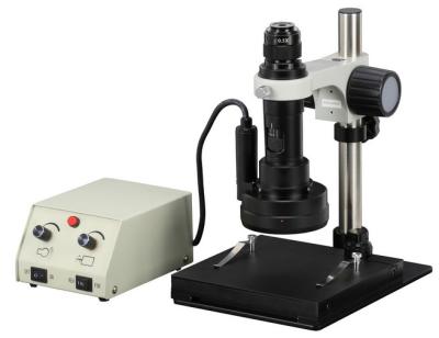 China Tridimensional estereofônico do microscópio do multi zumbido da observação do ângulo girado à venda