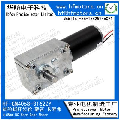 China 12V 24V 14RPM 2000mA 40mm DC Worm Gear Motor GM4058-3162ZY for sale
