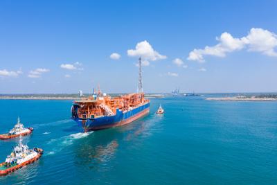 China DHL Ups Global Freight Transporte marítimo internacional Entrega de carga China A los EE.UU. Austria Canadá Rusia en venta