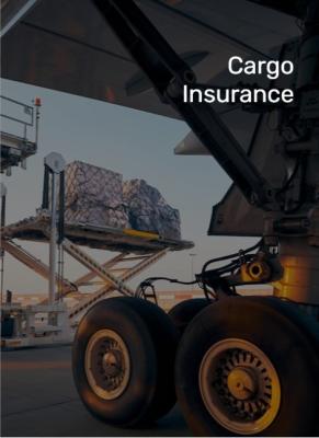 China International Cargo Insurance Service  timely Security protocols for sale