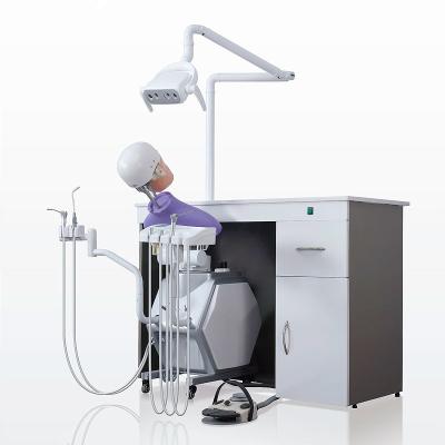 China Storable Phantom Head Dental Simulator Unit Multifunctional Removable for sale