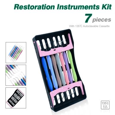 China Dental Prothesis Equipment Esthetic Resto-Ration Instrument Set For Non-Sticky Resin Filling for sale