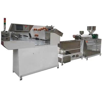 China Good price easy operation PE Zipper Extruder Machine for sale