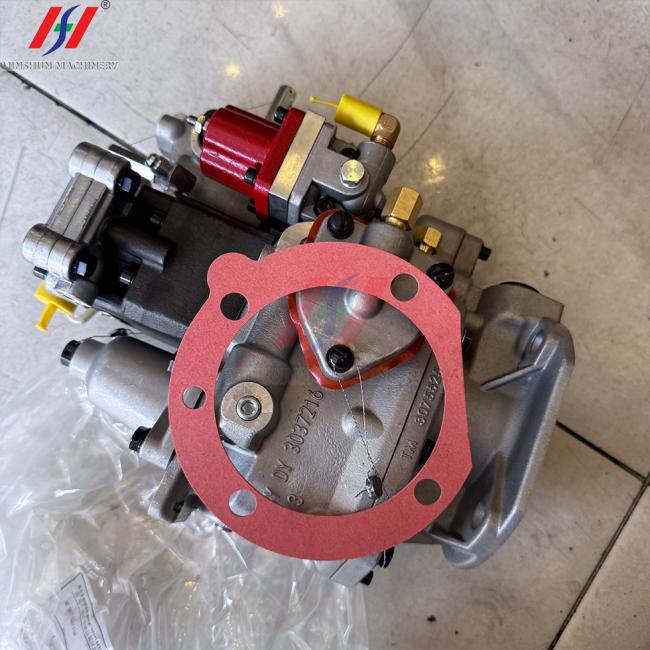 Diesel Engine Fuel Pump 3021980 Precision Plunger and Pump Body