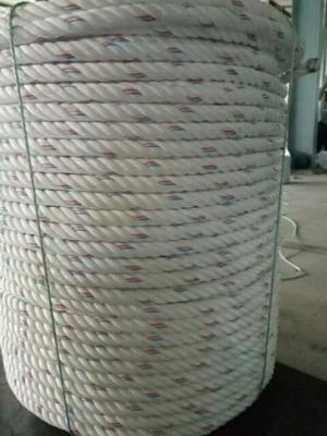 China Cangrejo Langosta 3/4 hebras cuerda retorcida Poly Dac cuerda de fregadero en venta