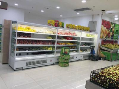 China Os especialistas das técnicas mercantís do refrigerador da exposição de ar livre de R404a/garra e vão refrigerador à venda
