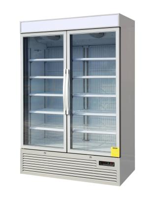 China Commercial Reach In Freezer Double Glass Door With Secop Compressor for Ice Cream Display for sale