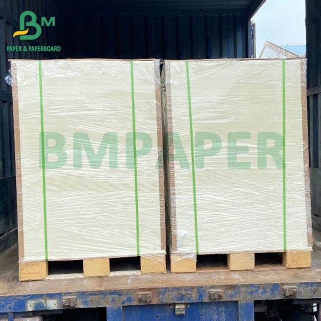 PE coated cup paper PE coated cup paper