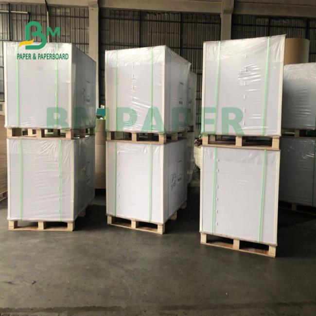 Good Folding Resistance Double Sides Coated Paper For Noodels Bowl Good Folding Resistance Double Sides Coated Paper For Noodels Bowl