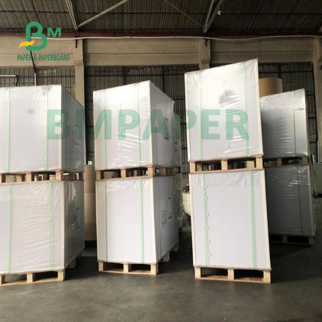 Water Resistance 200g + 20g PE Cup Base Paper Folding Resistance Water Resistance 200g + 20g PE Cup Base Paper Folding Resistance