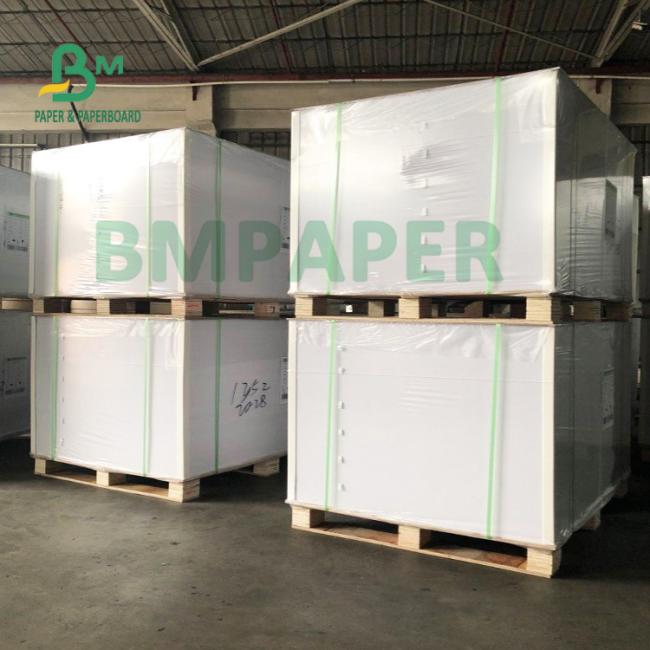 Food Grade Contact With Food Cup Stock Paper For Noodel Bowl 700mm X 1000mm Food Grade Contact With Food Cup Stock Paper For Noodel Bowl 700mm X 1000mm