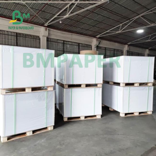 180gsm + 15gsm Single Side PE Coated Cup Paper Good Malleability 180gsm + 15gsm Single Side PE Coated Cup Paper Good Malleability