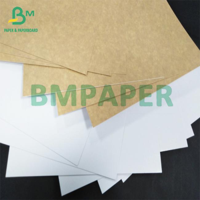 Coated kraft back Coated kraft back
