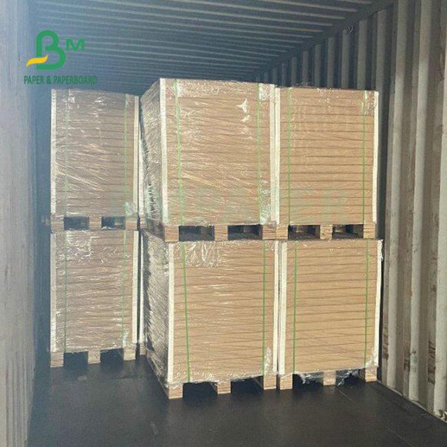 100% Safe One Side Coated White Food Board 275gsm 325gsm For Packing Food 100% Safe One Side Coated White Food Board 275gsm 325gsm For Packing Food