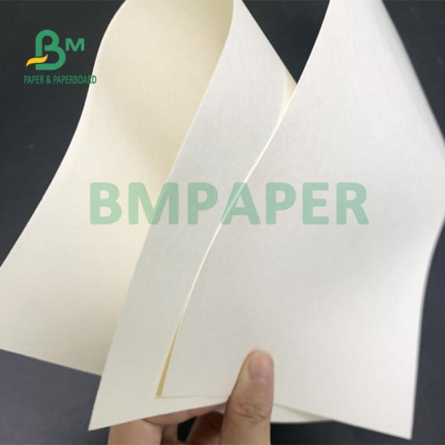 230gsm + 18gsm Safe No - Smell Cup Stock Specialty Paper For Noodel Bowls 230gsm + 18gsm Safe No - Smell Cup Stock Specialty Paper For Noodel Bowls