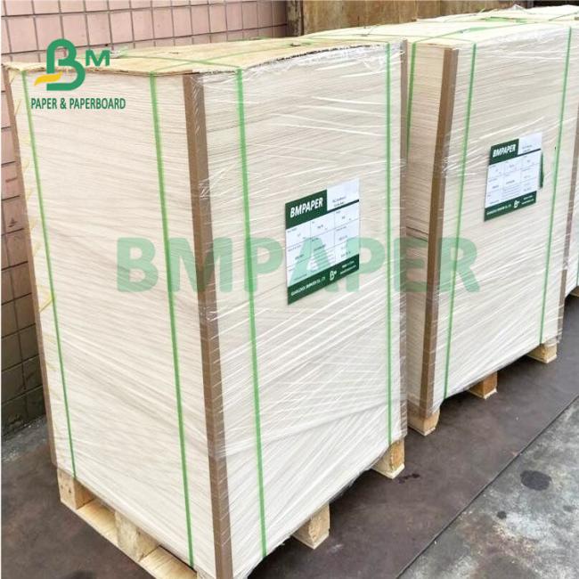 230gsm + 18gsm Safe No - Smell Cup Stock Specialty Paper For Noodel Bowls 230gsm + 18gsm Safe No - Smell Cup Stock Specialty Paper For Noodel Bowls