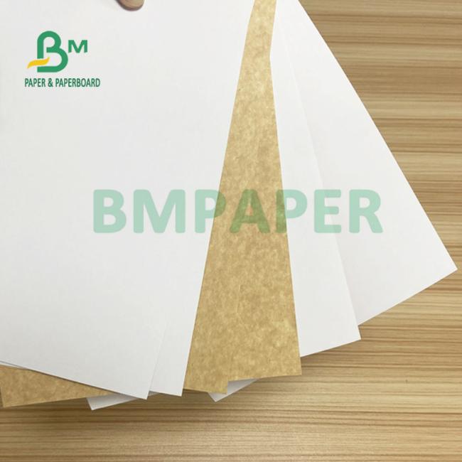 270gsm Clay Coated Kraft Back CCKB Paper Board For Takeout BoxesTear Resistant 270gsm Clay Coated Kraft Back CCKB Paper Board For Takeout BoxesTear Resistant
