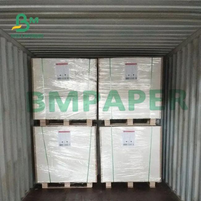 300g + 15g PE Coated Food Grade White Cup Based Waterproof Paper For Making Cup 300g + 15g PE Coated Food Grade White Cup Based Waterproof Paper For Making Cup
