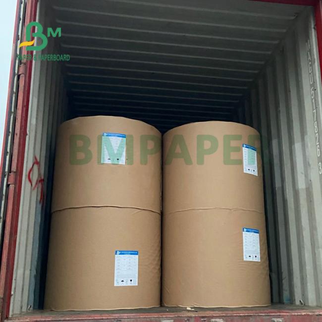 230gsm + 15 PE Matt Laminated Cupstock Paper Roll For Hot Drinks 882mm 230gsm + 15 PE Matt Laminated Cupstock Paper Roll For Hot Drinks 882mm