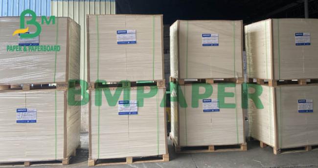 0.4MM 340G High Bulk White Absorbent Blotter Paper In Sheet 445MM 610MM 889MM 0.4MM 340G High Bulk White Absorbent Blotter Paper In Sheet 445MM 610MM 889MM