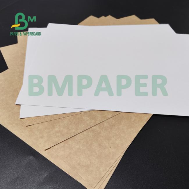 250gsm 300gsm C1S Kraft Back Coated Duplex Board For Salad Box Food Safe 250gsm 300gsm C1S Kraft Back Coated Duplex Board For Salad Box Food Safe