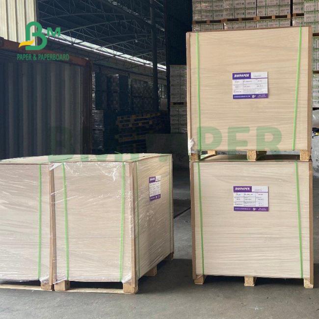 250gsm 300gsm C1S Kraft Back Coated Duplex Board For Salad Box Food Safe 250gsm 300gsm C1S Kraft Back Coated Duplex Board For Salad Box Food Safe