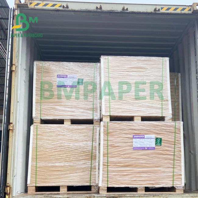 1.0mm 1.2mm Uncoated Absorbent Blotter Papel For Beer Mats 615mm X 860mm 1.0mm 1.2mm Uncoated Absorbent Blotter Papel For Beer Mats 615mm X 860mm