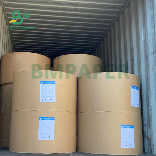 Waterproof 1 PE 2 PE Coated Cupstock Board For Coffee Cafe Eco Friendly 900mm Waterproof 1 PE 2 PE Coated Cupstock Board For Coffee Cafe Eco Friendly 900mm