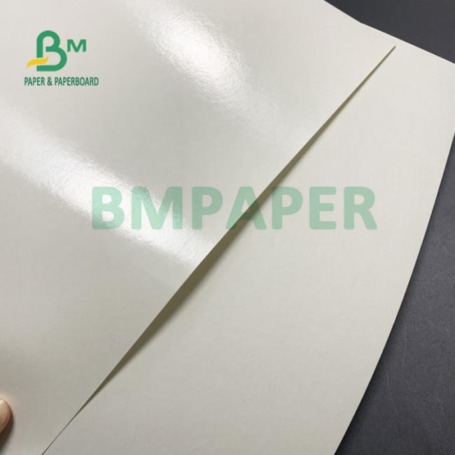 135gsm + 18gsm PE One Side Coated Cup Paper Safe & Contact With Food 135gsm + 18gsm PE One Side Coated Cup Paper Safe & Contact With Food