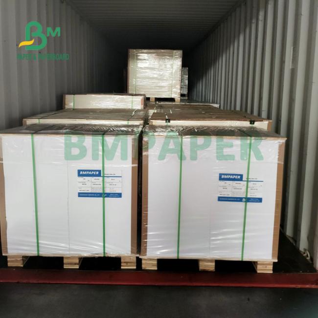 Food Grade 135gsm+10gsm PE Coated Cup Paper Gloss And Matt Finish Food Grade 135gsm+10gsm PE Coated Cup Paper Gloss And Matt Finish
