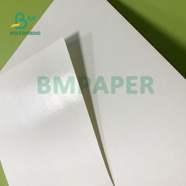 150gsm + 10gsm Food Safe PE Coated Cup Base Paper For Drinking 150gsm + 10gsm Food Safe PE Coated Cup Base Paper For Drinking