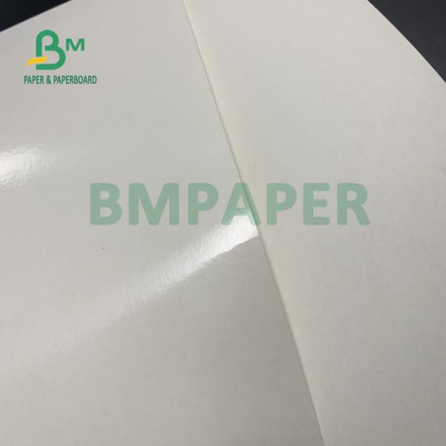 150gsm+20gsm Ploy Coated Cup Stock Paper Durable 710mm X 900mm 150gsm+20gsm Ploy Coated Cup Stock Paper Durable 710mm X 900mm