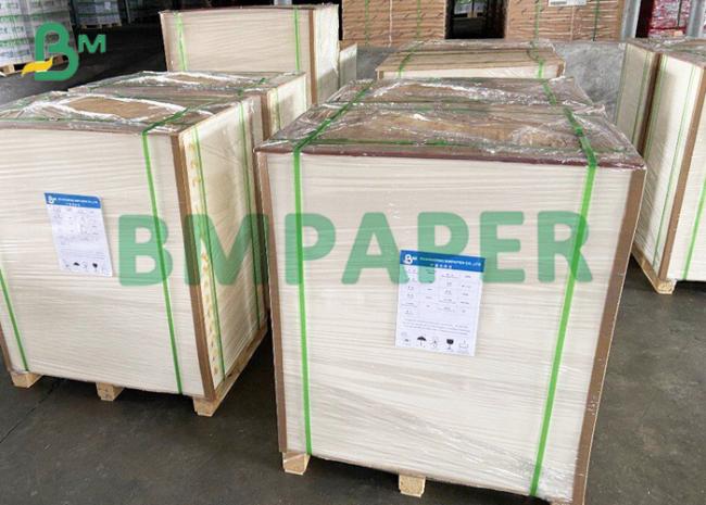 8.26 x 11.8 Inch Highly Absorbent Blotter Paper For Pressing Flowers 8.26 x 11.8 Inch Highly Absorbent Blotter Paper For Pressing Flowers