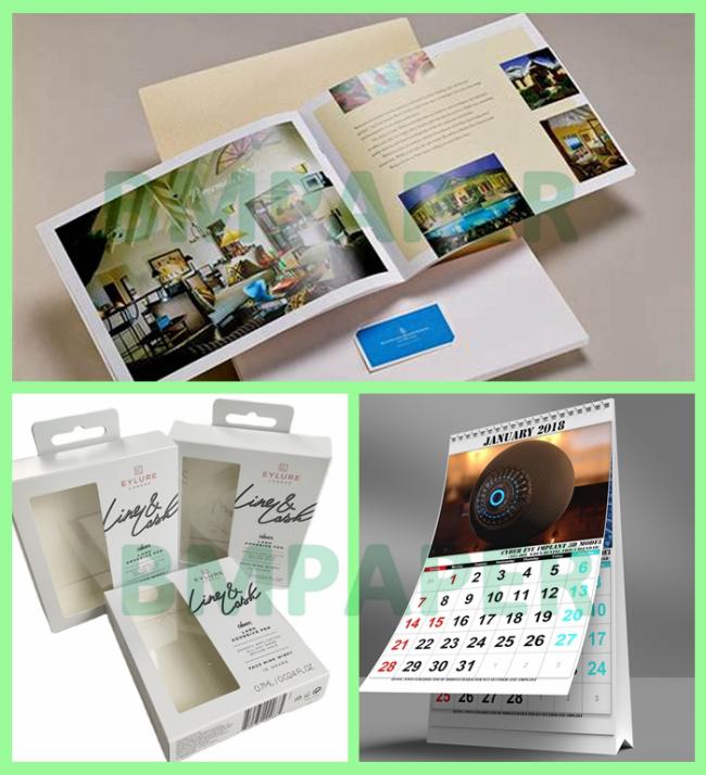 100lb Gloss White Text C2S Paper For Rack Cards 315mm x 468mm High Whiteness 100lb Gloss White Text C2S Paper For Rack Cards 315mm x 468mm High Whiteness