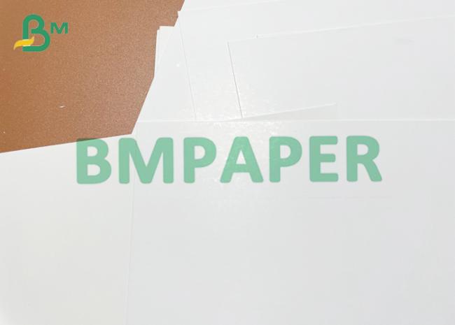 110lb 23x36" 25x37" C1S Index Cover Ivory Boared For Brochures 110lb 23x36" 25x37" C1S Index Cover Ivory Boared For Brochures