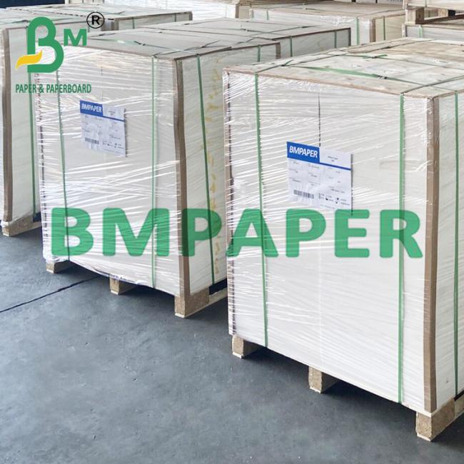 190gsm 200gsm 210gsm Food-safe Cupstock Paper Suitable For Hot Food 190gsm 200gsm 210gsm Food-safe Cupstock Paper Suitable For Hot Food