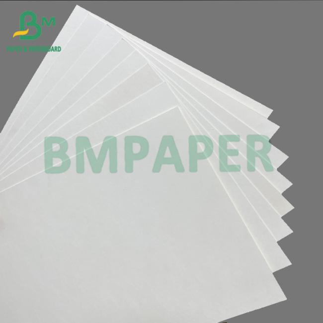 180gsm + 18gsm Single Side PE Coated White Cup Paper Bowls Paper 180gsm + 18gsm Single Side PE Coated White Cup Paper Bowls Paper