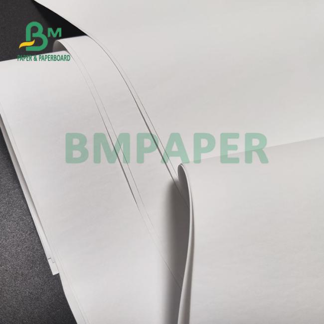 55gsm 60gsm Jumbo Roll Thermal Receipt Paper For POS ATM Bank 405mm 795mm 55gsm 60gsm Jumbo Roll Thermal Receipt Paper For POS ATM Bank 405mm 795mm
