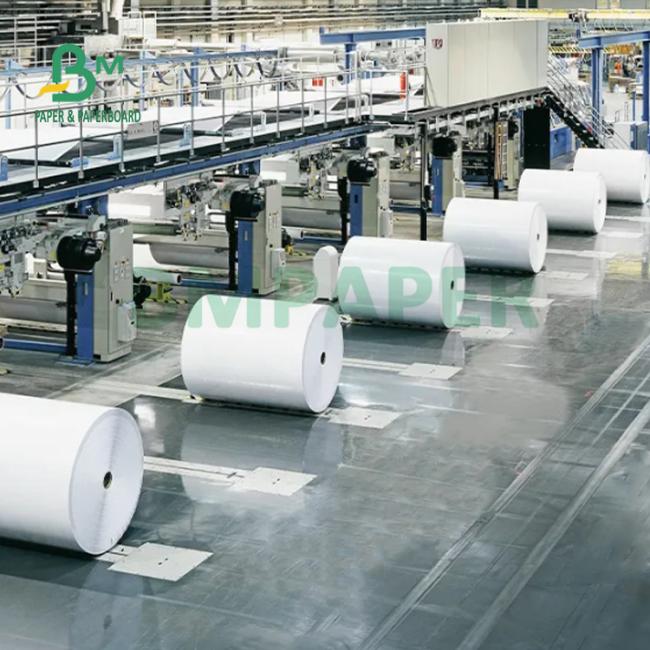 55gsm 60gsm Jumbo Roll Thermal Receipt Paper For POS ATM Bank 405mm 795mm 55gsm 60gsm Jumbo Roll Thermal Receipt Paper For POS ATM Bank 405mm 795mm
