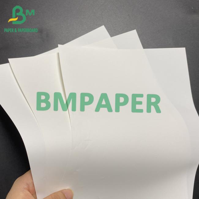 Polypropylene Synthetic Paper For 2 Sides Laser Printing 13"X19" Thickness 14pt 12pt 10pt 8pt Polypropylene Synthetic Paper For 2 Sides Laser Printing 13"X19" Thickness 14pt 12pt 10pt 8pt