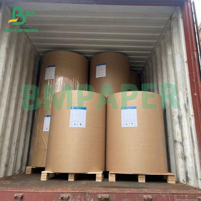 210, 230gsm Food Grade Grade Oil Resistant White Cardboard 6 Kit 300um, 320um 210, 230gsm Food Grade Grade Oil Resistant White Cardboard 6 Kit 300um, 320um