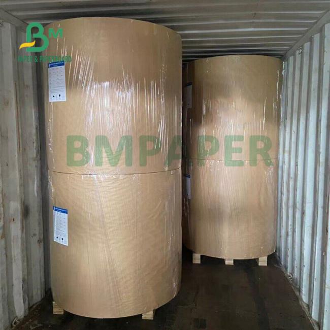 Waterproof 250gsm + 15g PE Coated Kraft Paper Roll For Disposable Cup 770mm Waterproof 250gsm + 15g PE Coated Kraft Paper Roll For Disposable Cup 770mm