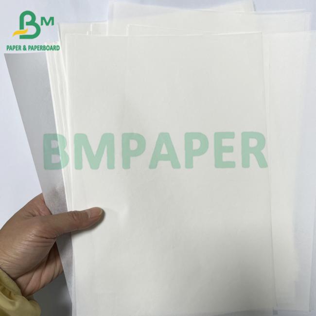 Recyclable 40gsm Colourful Greaseproof Cupcake Liner Paper Roll Recyclable 40gsm Colourful Greaseproof Cupcake Liner Paper Roll