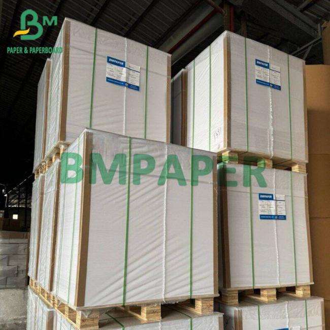 Bristol Paper Board Size 100x70cm 230 250 270gramms White Uncoated Paperboard