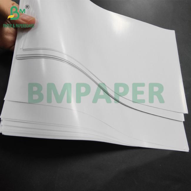 70gsm 80gsm C1S One Side Coated Paper For Labels Good Stiffness 70cm 90cm 70gsm 80gsm C1S One Side Coated Paper For Labels Good Stiffness 70cm 90cm