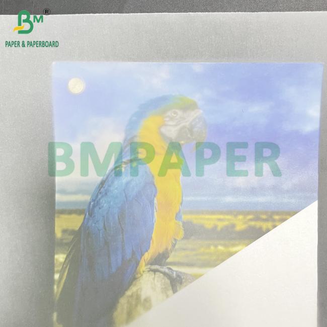 50 83 GSM Smooth White Semitransparent Transfer Paper Roll 880mm x 40m 50 83 GSM Smooth White Semitransparent Transfer Paper Roll 880mm x 40m