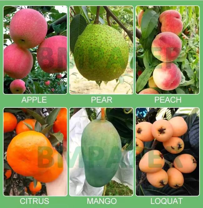 56gsm Waterproof Growing Paper For Mango Fruit Covering Bags UV Resistant 56gsm Waterproof Growing Paper For Mango Fruit Covering Bags UV Resistant