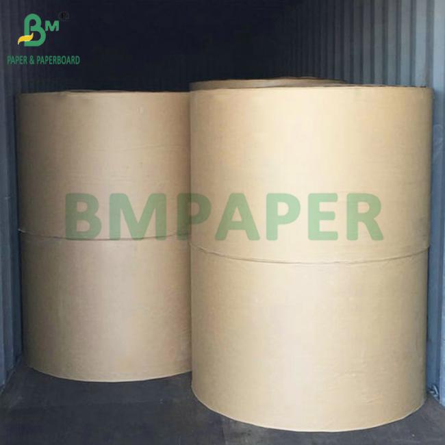 270gsm + 15g PE Coated Lunch Food Box Paper For Fruit Package High Stiffness 270gsm + 15g PE Coated Lunch Food Box Paper For Fruit Package High Stiffness